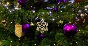 Новогодняя магия уже в пути!